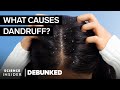 Hair Experts Debunk 15 Hair Myths | Debunked