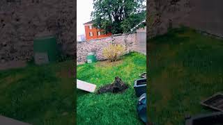 ошибка которую надо исправить.  Альпы Швейцария