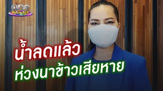 น้ำท่วมลดแล้ว “สุนารี” ใจชื้นข้าวรอดบางส่วน | ประเด็นร้อน