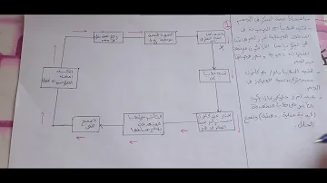 مخطط يلخص تنظيم تحلون قصور سكري مخطط يلخص تنظيم تحلون قصور سكري