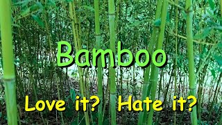 How To Keep Bamboo From Spreading  Here's how I installed a root barrier.  How To Control Bamboo