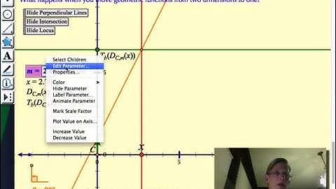 Zalman Usiskin Tribute Steketee