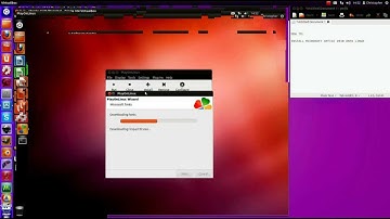 how to: Install Microsoft Office 2010 onto Linux