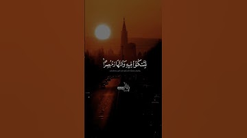 الله الذي جعل لكم الليل لتسكنوا فيه 🥺💔 #الشيخ_المنشاوي #سورة_غافر #quran
