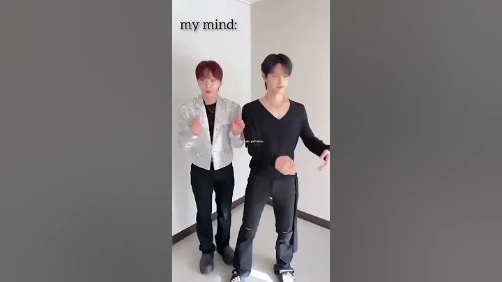 A cat just casually walking over the frozen han river only in my mind😂#straykids #txt #enhypen #svt