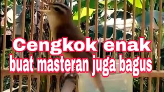 KERAK BASI ALIS HITAM GACOR ISIAN