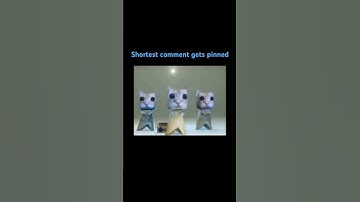Shortest comment gets pinned #funny #cat #memes #shortestcomment