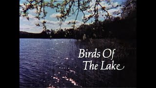 Birds of the Lake