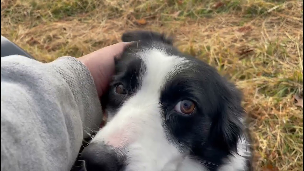 Jill & Jim Playing - Jill Very Pregnant on Dec. 4, 2021