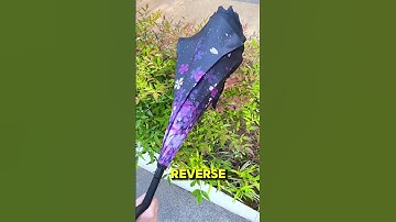 This Reverse Fold Umbrella Will Change Your Life! | One-Button Car Umbrella