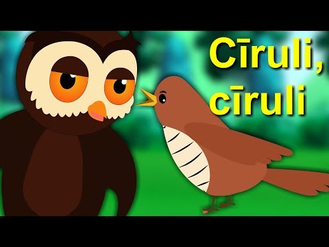 Video: Kurš Putns Ir Mazāks Par Zvirbuļu