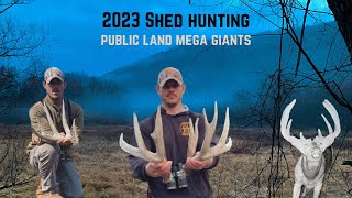 2023 Shed hunting Public Land - 42 antlers