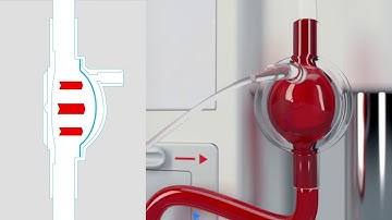 Streamline® Express Animation – POD Technology