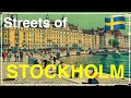 Streets and Animals of Stockholm