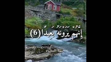 Quran Kareem story 🌸WhatsApp  أجمل قرائه قرآن كريم حالات واتس 🍃 《 سوره المعارج 》