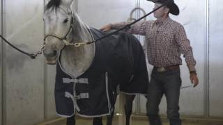 How to Blanket Your Horse
