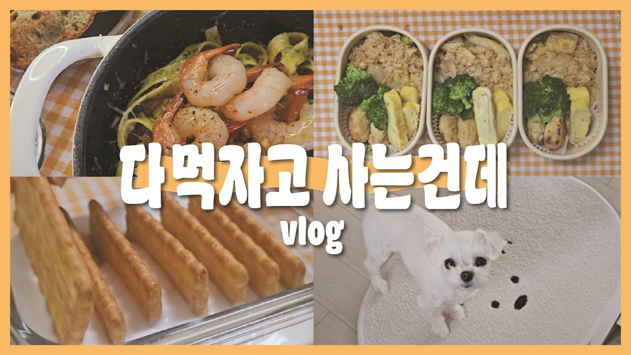 불안함 없이 온전히 잘 쉬는 30대의 주말 ☁️ (바질오일파스타, 양배추도시락, 미미)ㅣa serene weekend record in one's thirties