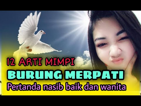 Video: Mengapa merpati bermimpi dalam mimpi untuk wanita dan lelaki