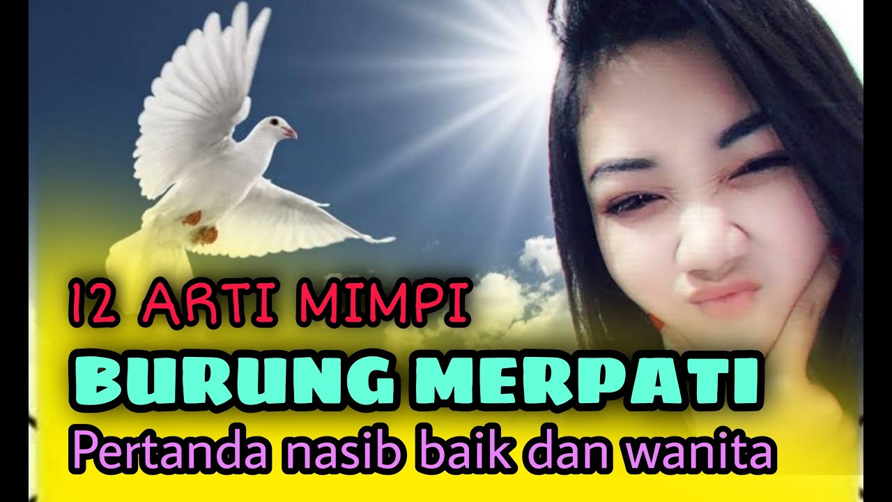 12 ARTI MIMPI BURUNG MERPATI, PERTANDA NASIB BAIK DAN TENTANG WANITA