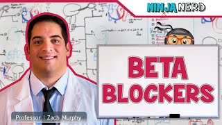 Beta Blockers | Mechanism of Action, Indications, Adverse Reactions, Contraindications