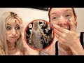 WE BOUGHT A $45 WEDDING DRESS!!