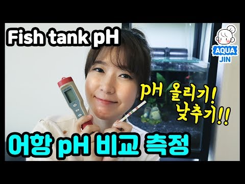 Try measuring fish tank pH and find out how to raise or lower it! Price and usage of the pH meter!