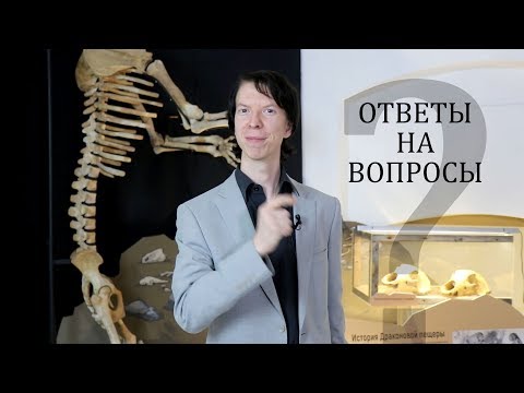 Всё, что вы хотели знать о древних животных. Ярослав Попов