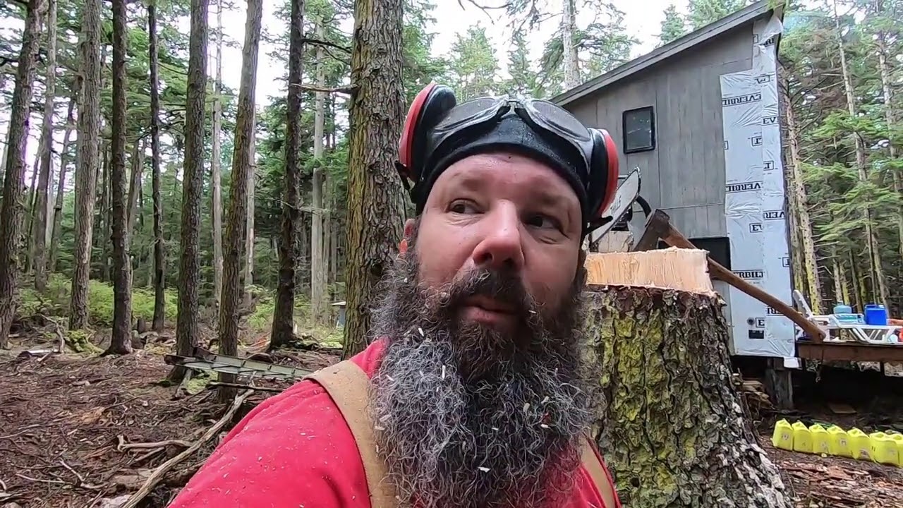 Cutting down a dangerous leaning tree on the Alaskan homestead - YouTube