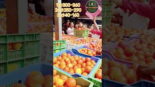 #palamaner 🍅tomato top price | #nac