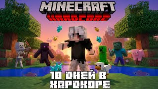 видео: 10 Дней в Хардкоре Minecraft 1.20.4 — Начало! Башня разбойников и строительство дома картинка: 10 Дней в Хардкоре Minecraft 1.20.4 — Начало! Башня разбойников и строительство дома
