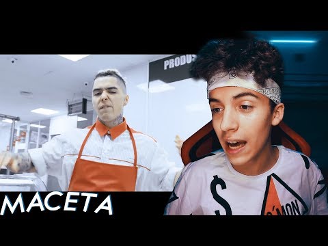 REACTIONEZ LA LINO GOLDEN - MACETA *FIREE*