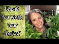 Should You Wash Your Herbs?