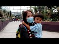 Gardens by the bay | Flower dome | Singapore