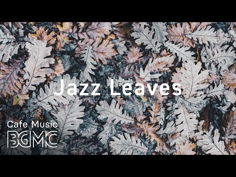 ❄️Winter Jazz Music - Chill Out Jazz Music For Study & Work