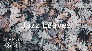 ❄️Winter Jazz Music - Chill Out Jazz Music For Study & Work