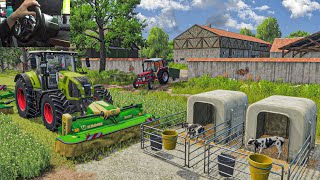 Moving Calves and Mowing Clover | FS25 Thrustmaster T248 Realistic gameplay