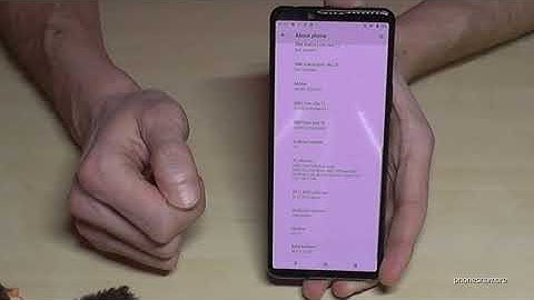 Sony Xperia 5 (II): How to enable the Developer Options? for USB Debugging etc.