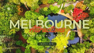 [4K] Melbourne Attraction | Serene Garden in the Dandenong Ranges #thingstodoinmelbourne #dji #drone