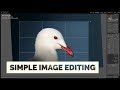 Quick, Simple Image Editing in Lightroom