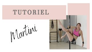 MARTINI - Beginner Tutorial