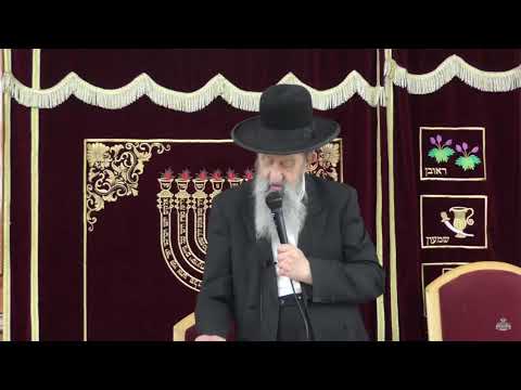 הרב בן ציון מוצפי • פרשת בראשית • אשקלון תשרי תשפ"ג