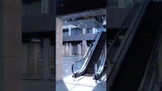 Яккабог Эко Бозор Yakkabog 2024 Год.