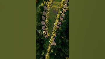 land really is the best art , pragmatic approach 🌿