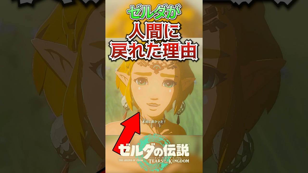 ゼルダの伝説　他 ゼルダの伝説 ブレス オブ ザ ワイルド】初めてのゼルダの世界へ