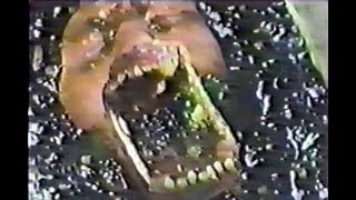 Conton (Jûshin densetsu) 1987 vhsrip sub ita/eng