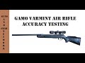 GAMO Varmint Air Rifle (Accuracy Testing)