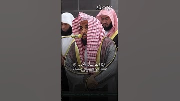 ما نيسر من سورة فصلت | تلاوة بهيّة للبلبل أ.د.#عبدالله_الجهني