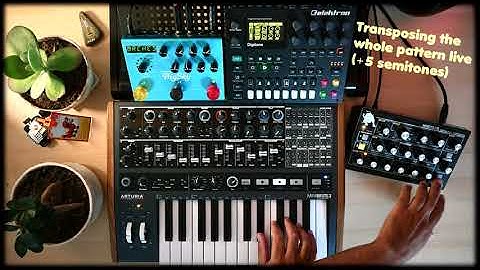 006▶️ Syn Pitch (Elektron Digitone // Moog Minitaur // Arturia Minibrute 2 + Strymon BigSky)