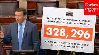 Chris Murphy Calls For Increased Background Checks In Gun Sales