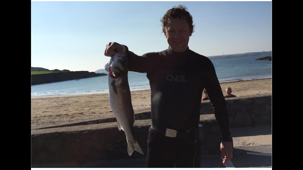 Spearfishing Bass West Pembrokeshire, South Wales, UK September 2015